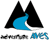 Adventure Aves